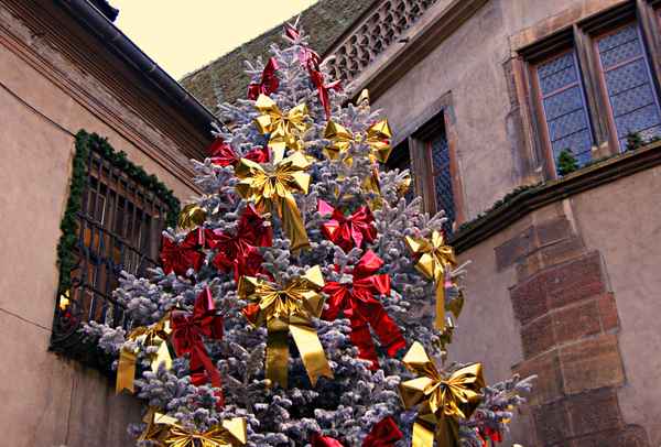 Weihnachtsbaum in Colmar