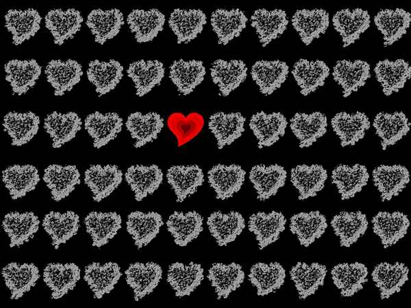 Die Eine unter Millionen!