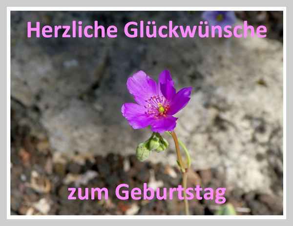 Geburstagswünsche