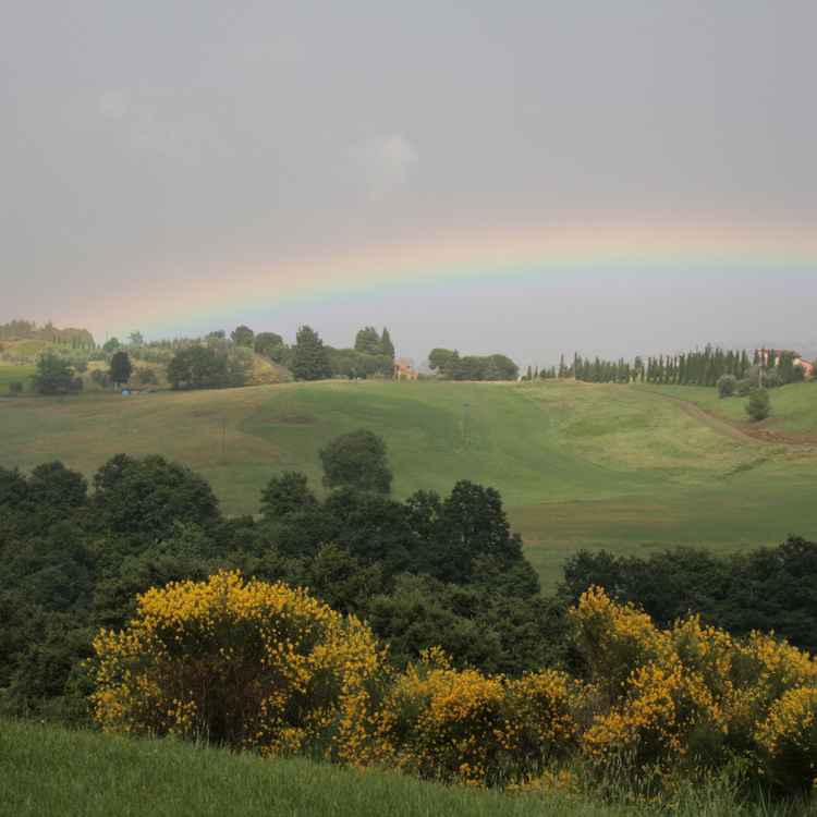 Regenbogen