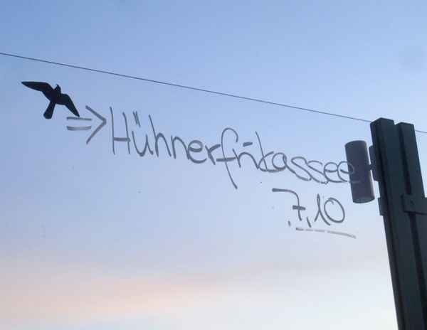 Hühnerfrikassee