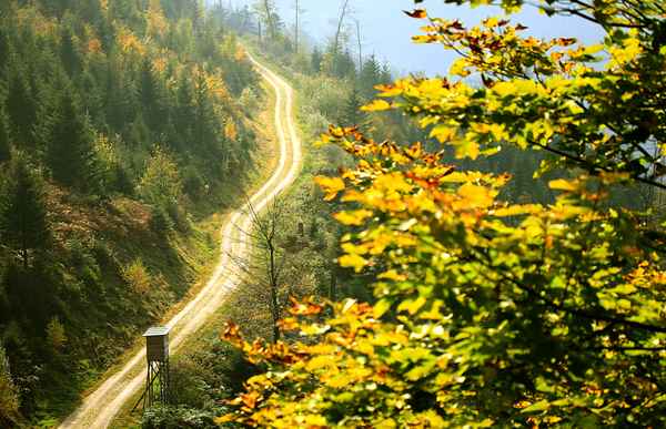 Wanderherbst
