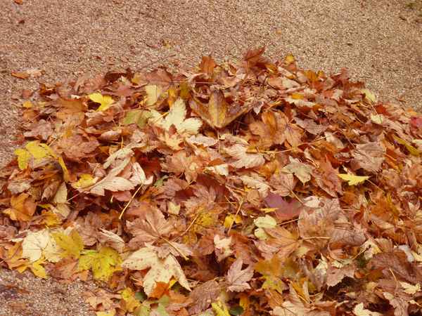 Ende des Sommers ...