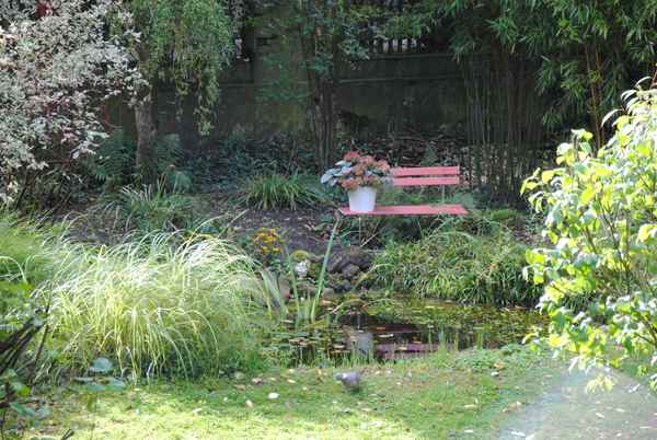 Natur pur