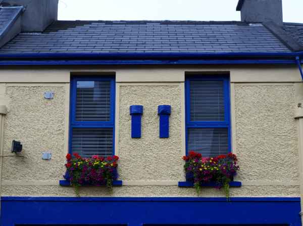 Blumen vor dem Fenster