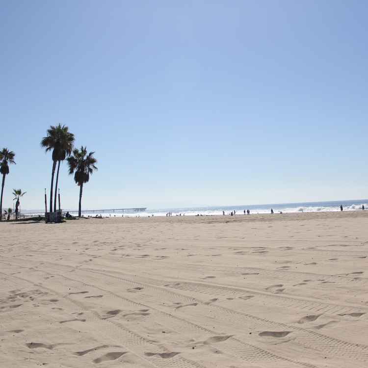 Venice Beach