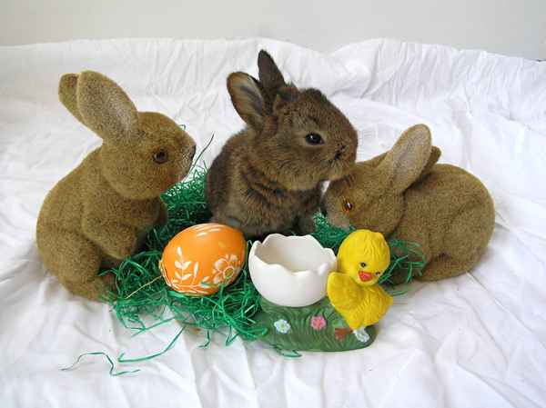 Frohe Ostern