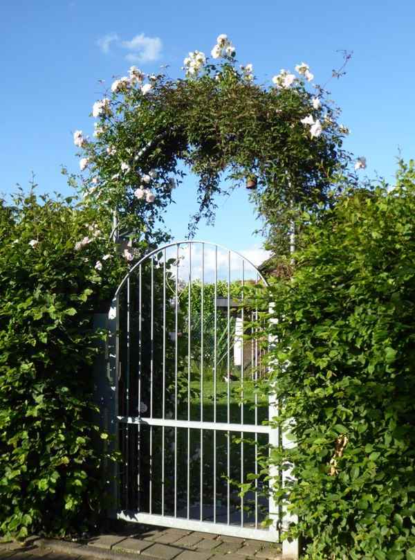 Rosenbogen zum Garten