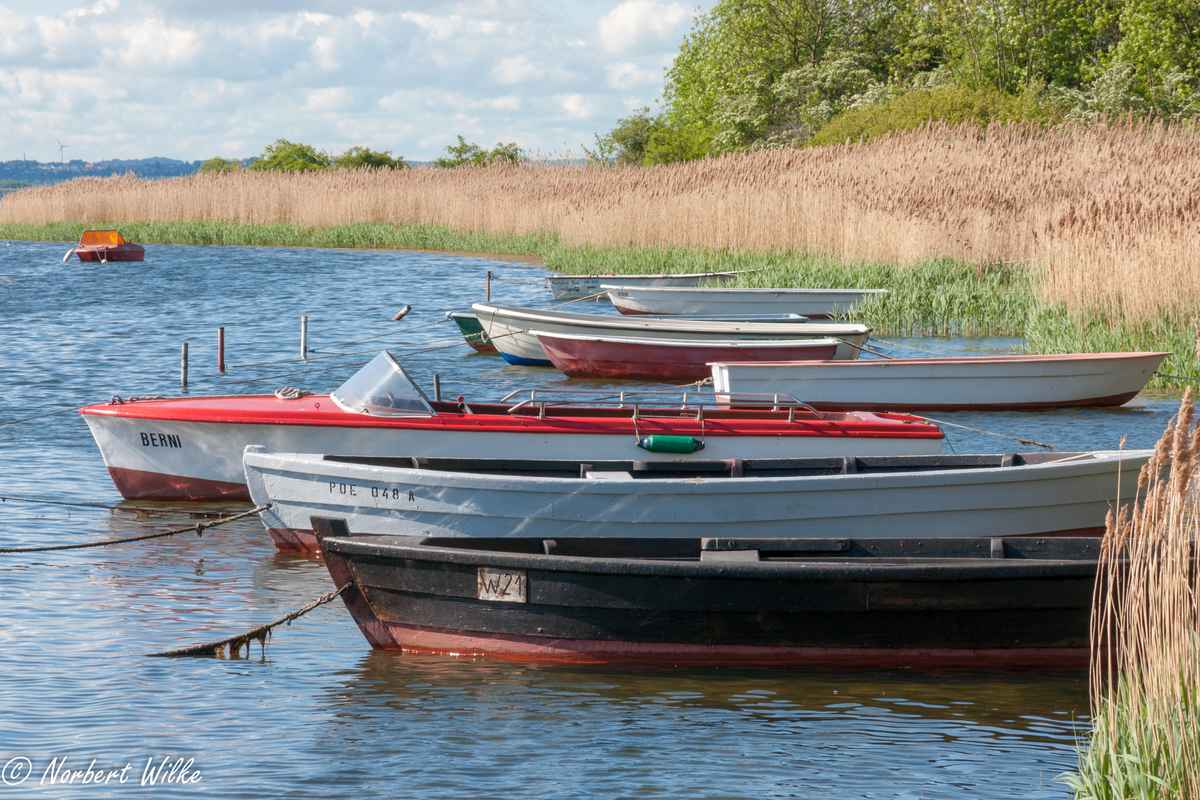 Fischerboote auf Poel