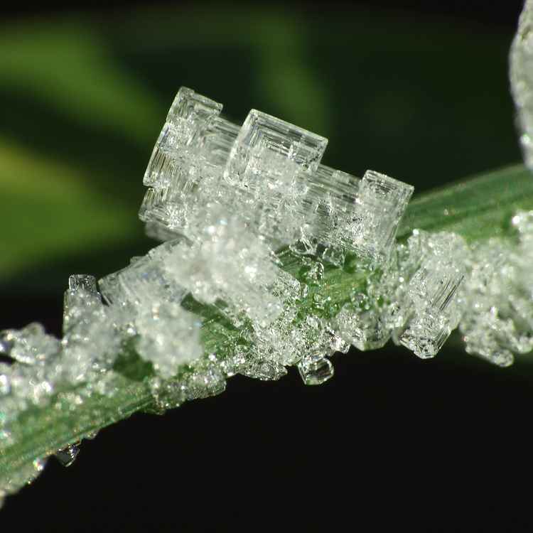 Wohlgeformte Eiskristalle