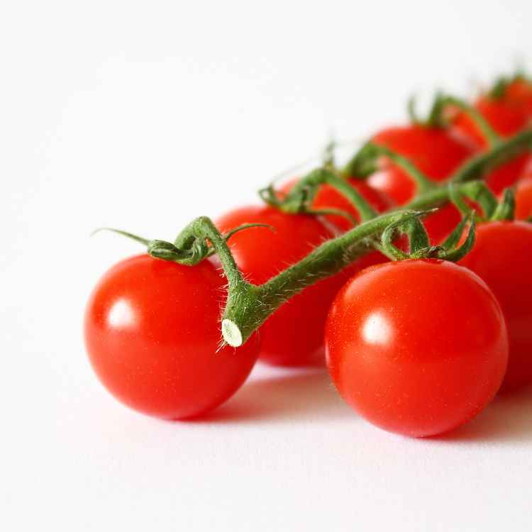 Tomaten
