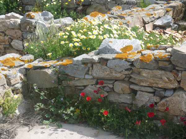 Delos: griechische Ausgrabungen 1