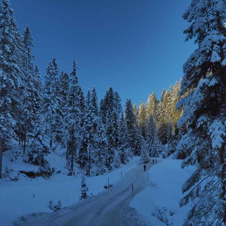 winterstimmung