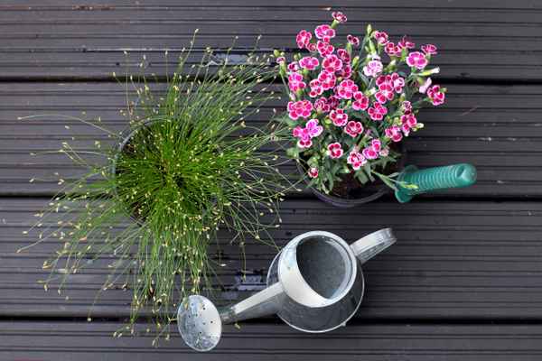 Heute wird gegärtnert