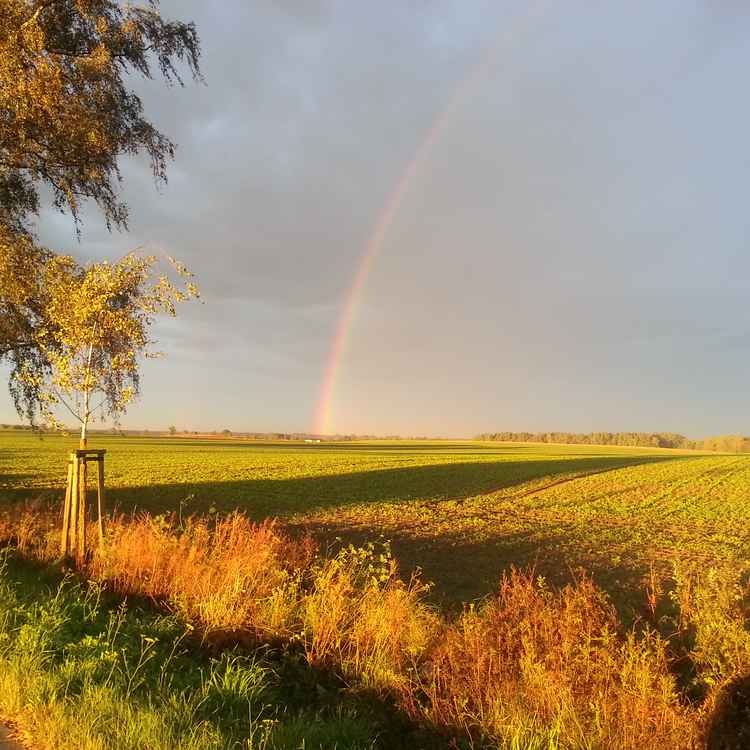 so schön zeigt sich der Herbst