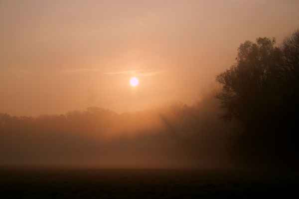 sonnenaufgang im nebel