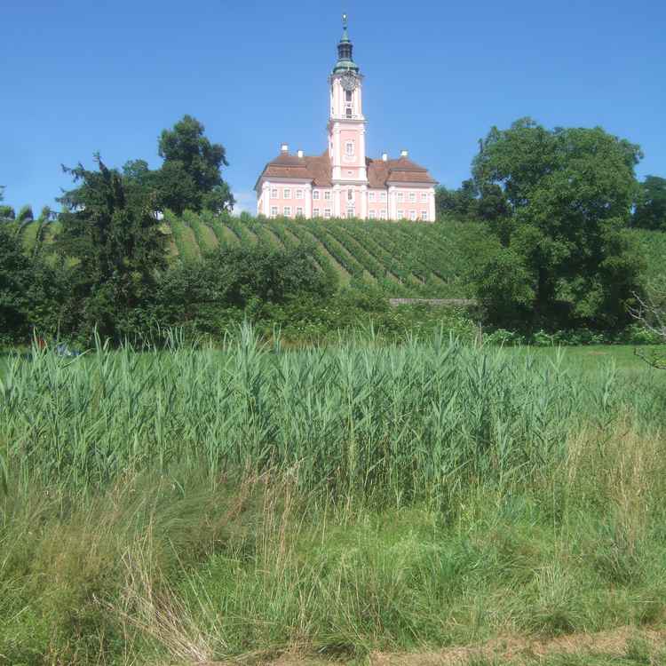 Basilika Birnau