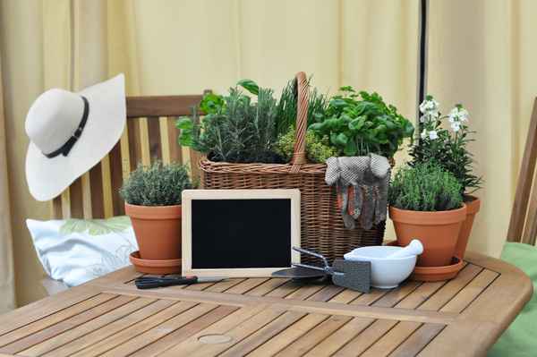 Die Gartensaison ist eröffnet