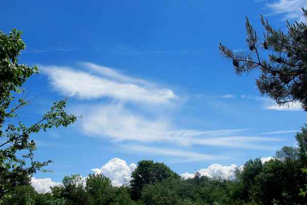 Himmels-Blick