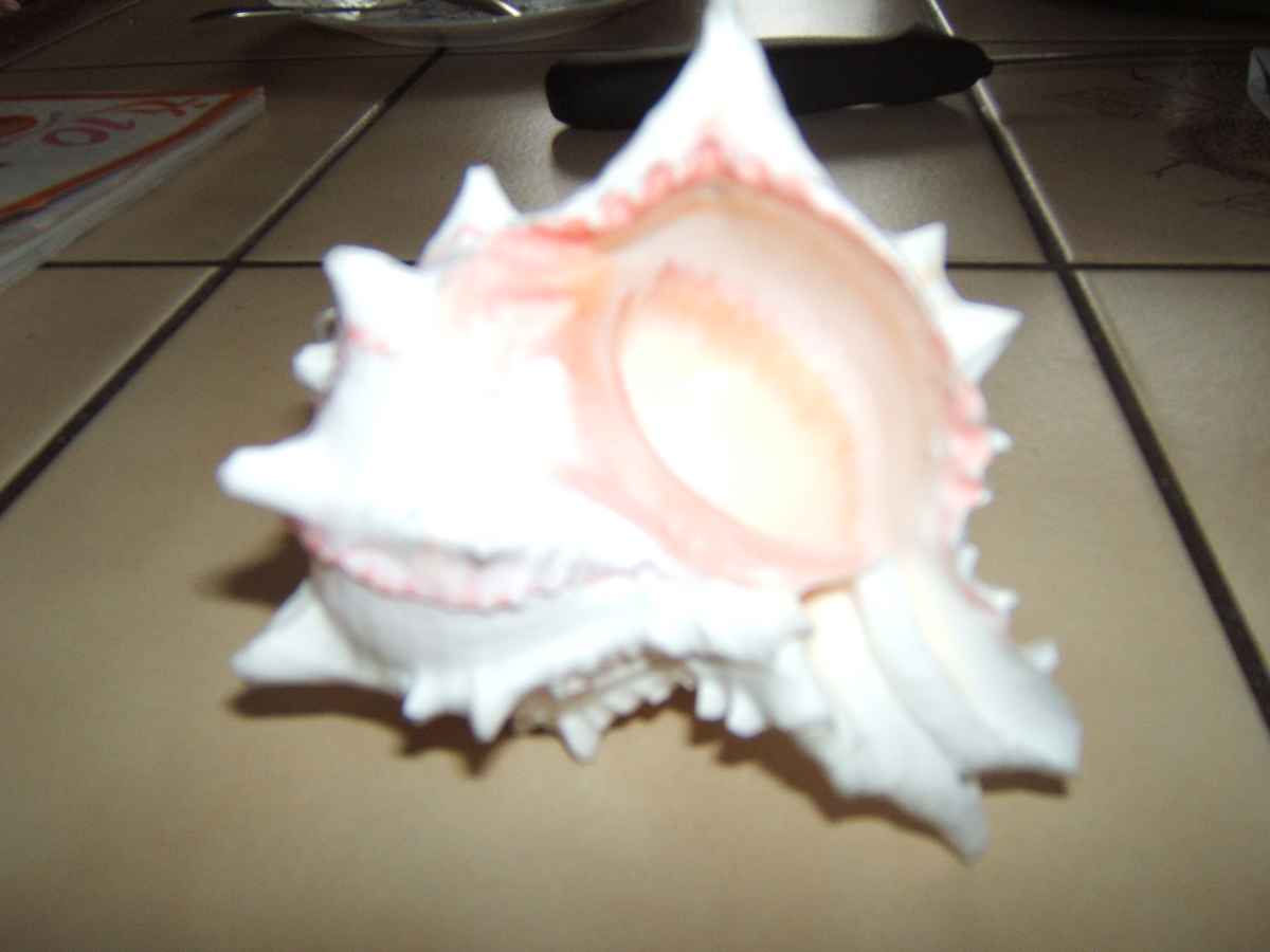 Noch ein Rätsel Lösung