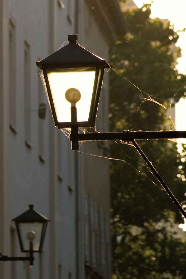 Straßenlaterne im Gegenlicht