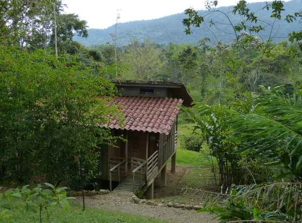 Dschungel-Lodge