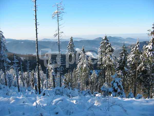 Winterlandschaft 1