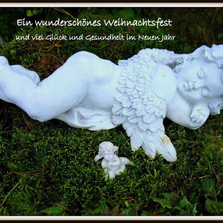 Ein Engel möge euch begleiten..