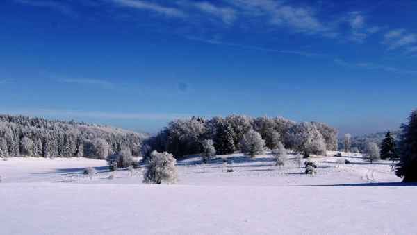 Winter in Vollendung