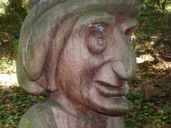 Hexenwald (Kurische Nehrung): alter Mann