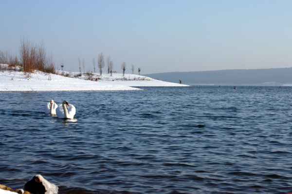 Am See