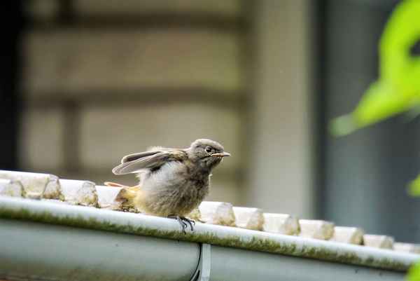 Achtung, ich starte...