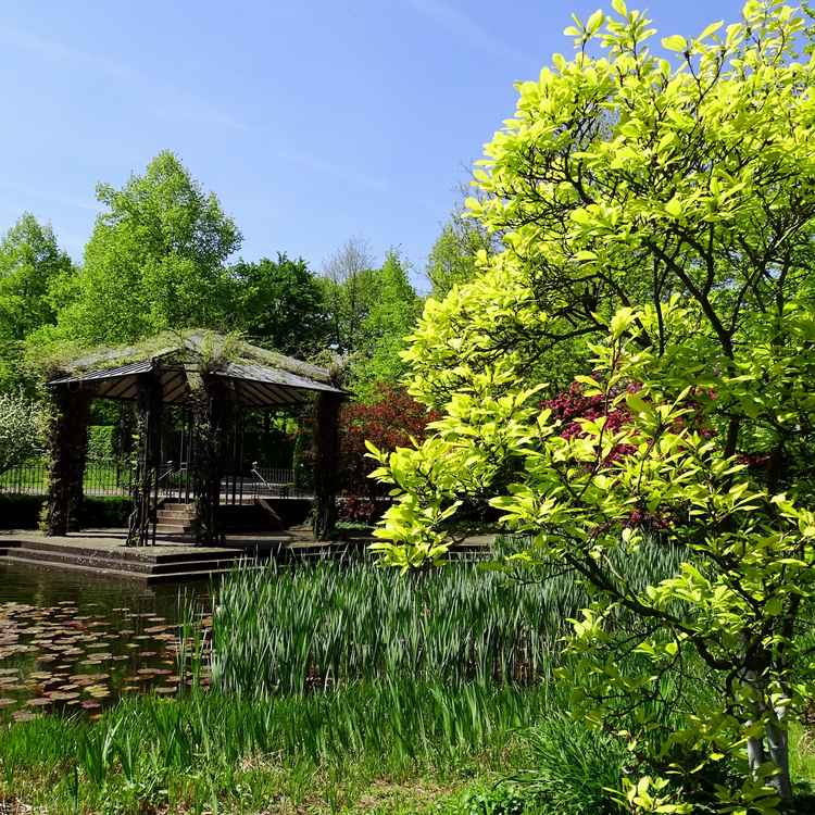 Mülheims Garten an der Ruhr