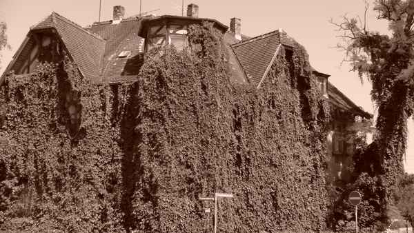 Altes Haus