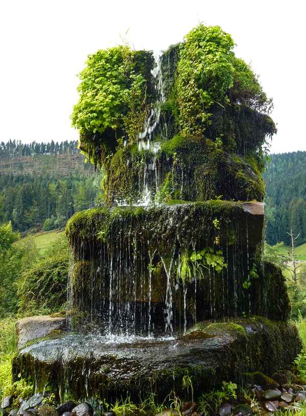 Jungbrunnen 1