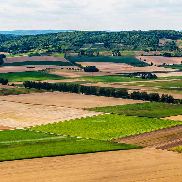 Sommerfelder