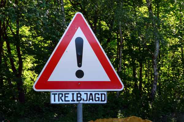 Achtung Treibjagd !