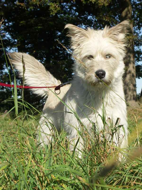 Ein hübscher Kerl...