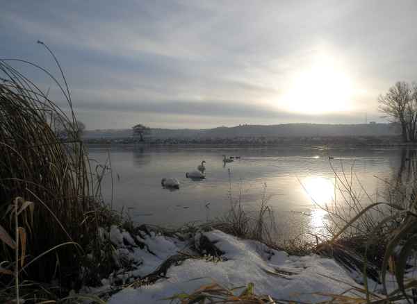 Winterabend am Fluss