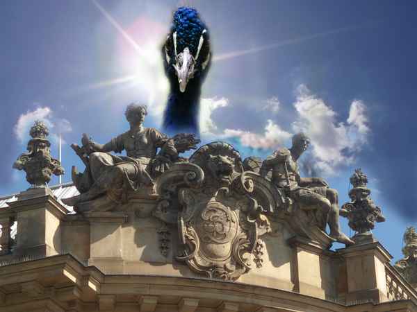 Wie stehen die Aktien?