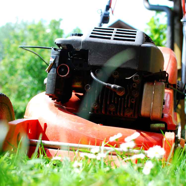 Rasenmäher aus der Froschperspektive