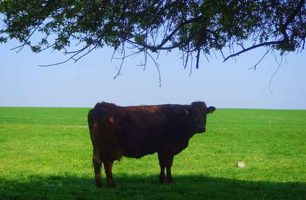 Romantik am Rundweg Nationalpark Müritz