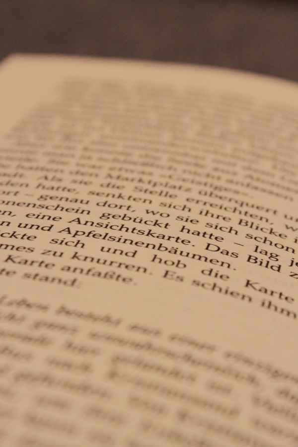 Buchseite 14