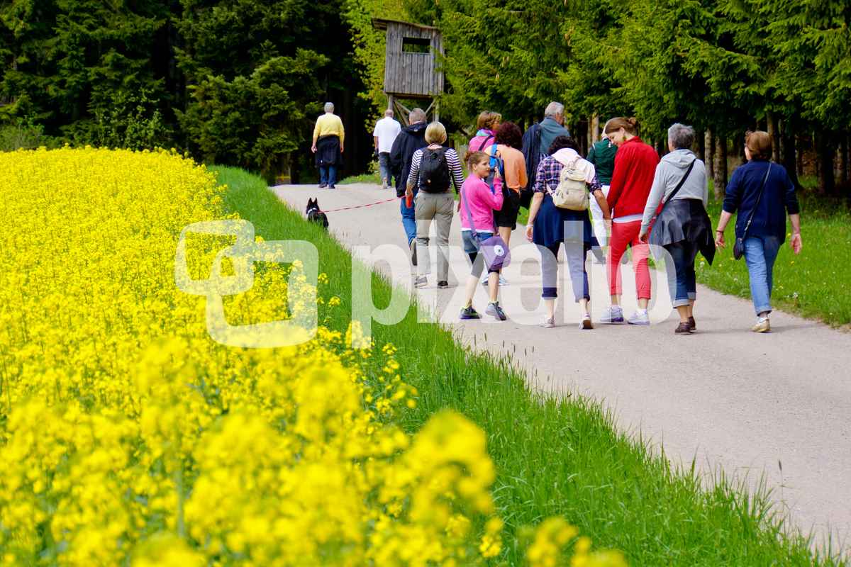 Maiwandergruppe
