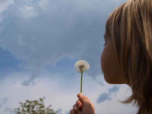 Achtung Windböen !!!