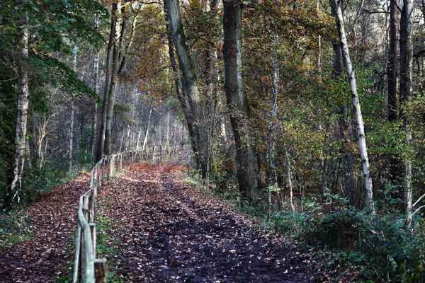 Herbstspaziergang