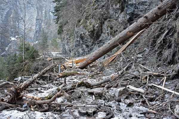 Viel Arbeit für die Wegemacher