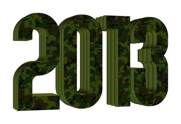 2013 Jahr
