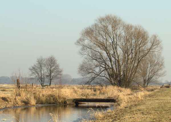 Winterwiesen