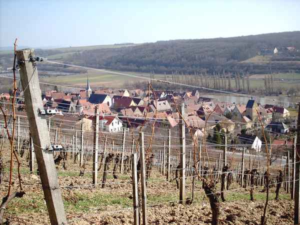 Weinort